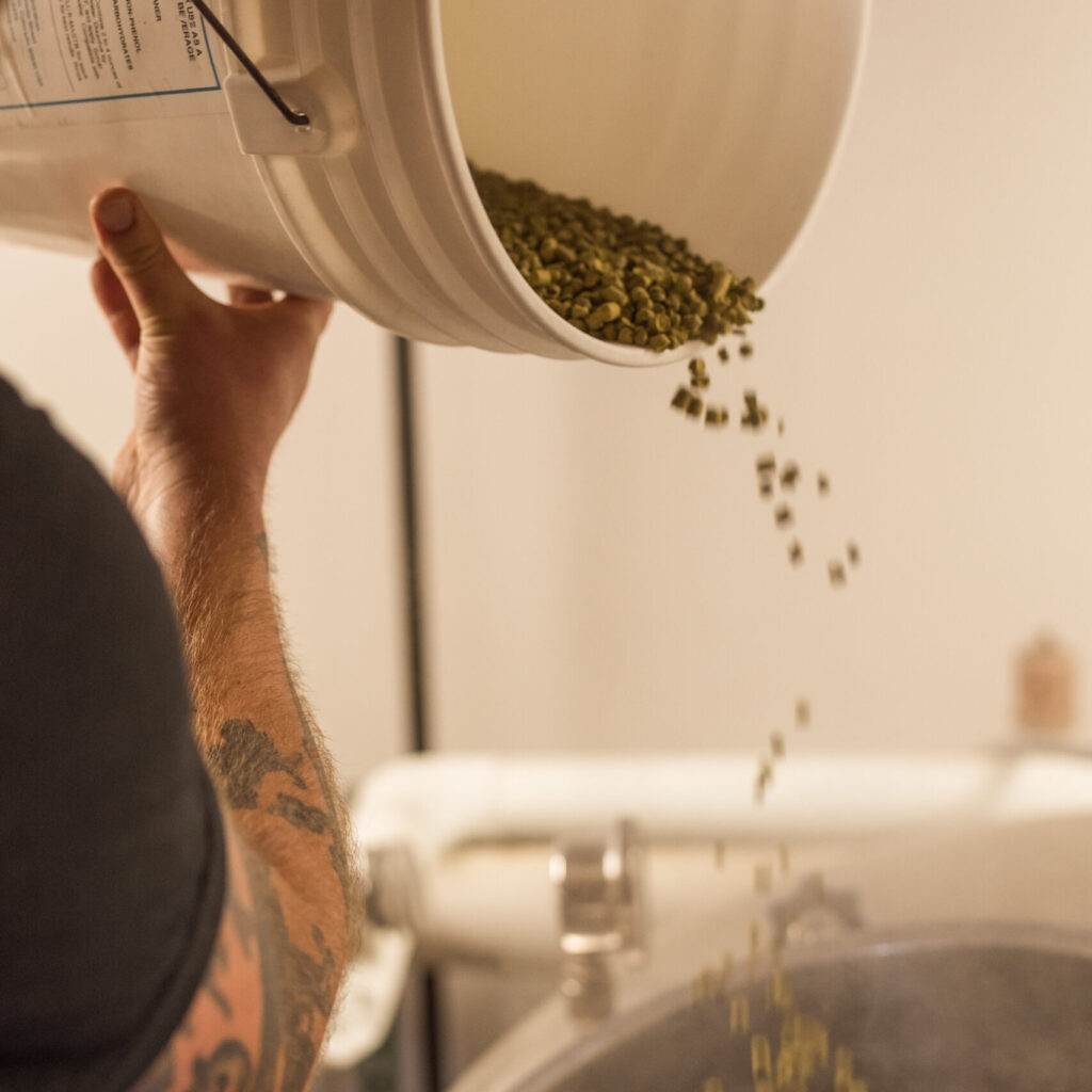 Adding hops to the boil kettle