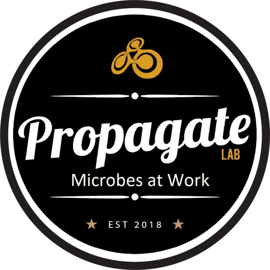 Propagate yeast lab