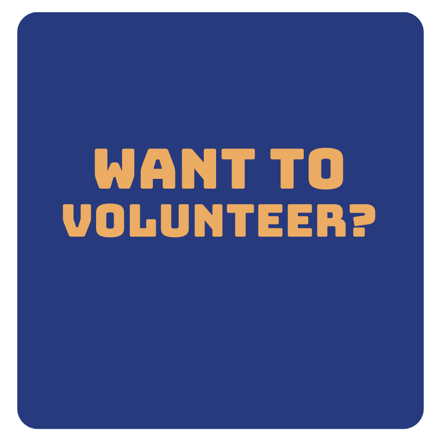 Interested in volunteering at the festival?