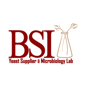 BSI logo