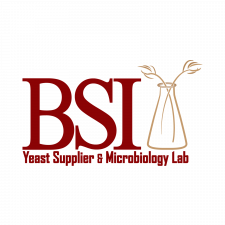 BSI logo